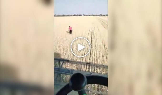 Украинский фермер собирает урожай в Днепропетровской области