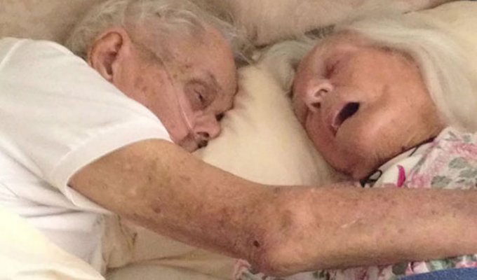 Пожилая американская пара скончалась в объятиях друг друга с разницей в несколько минут (7 фото)