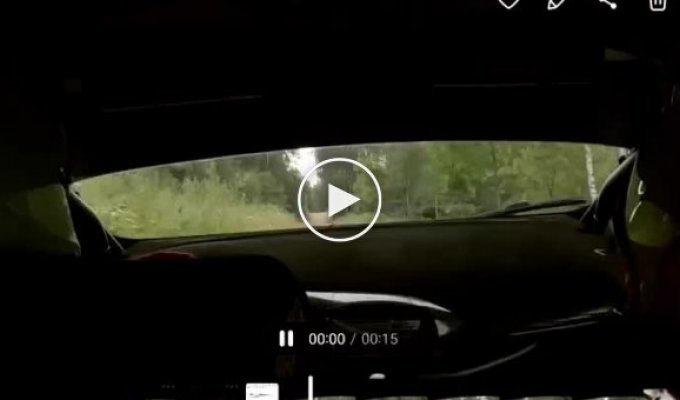 It's okay, let's continue: Incident during a rally in Lithuania