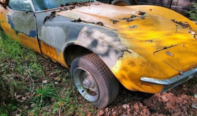 50-летний лимитированный Chevrolet Corvette, найденный в трущобах, продают на eBay (15 фото)