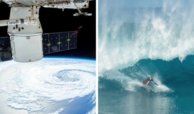Surfers from all over the world ride the global wave caused by El Niño (22 photos + 1 video)