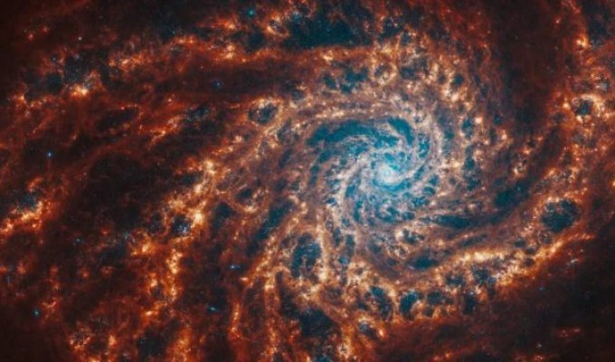 The James Webb Space Telescope showed photos of nearby spiral galaxies (5 photos)