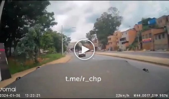 The helicopter made a hard landing on the road