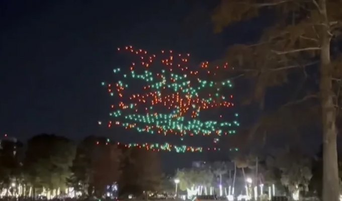 Drones fell on a crowd during a Christmas show in the USA (6 photos + 1 video)