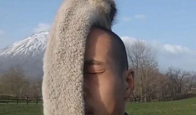 Оказывается, страусы любят лысых людей (7 фото + видео)