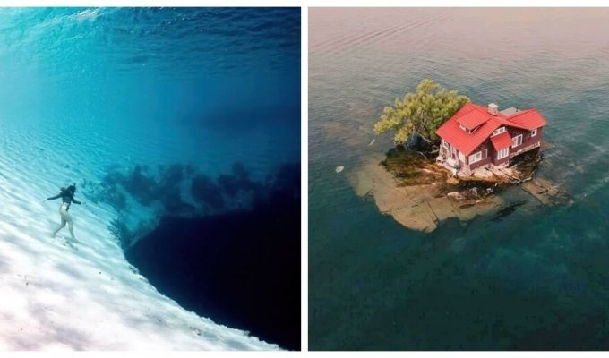 25 pictures that may make you want to stay as far away from the depths of the sea (26 photos)