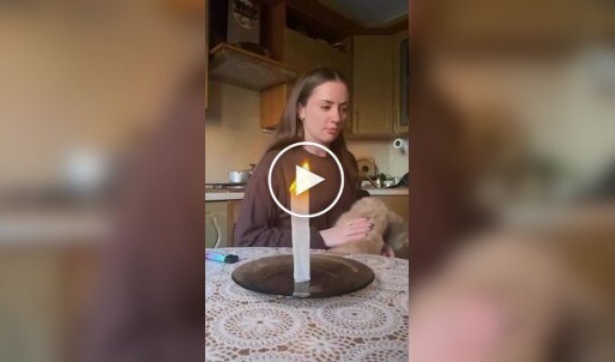 Кот и домашняя магия
