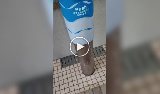 Public restrooms for dogs in Japan