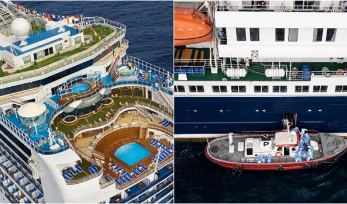 Cruise Horror 2026 (3 photos + 1 video)