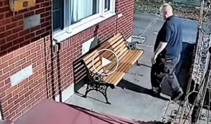 Пистолет не аргумент: Спас кота от бойцовской собаки