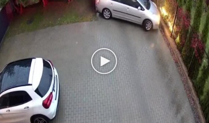 A talented driver