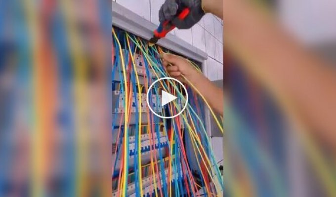 Из жизни электрика