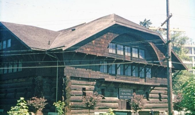 How one of the largest wooden houses in history was built in America (10 photos)