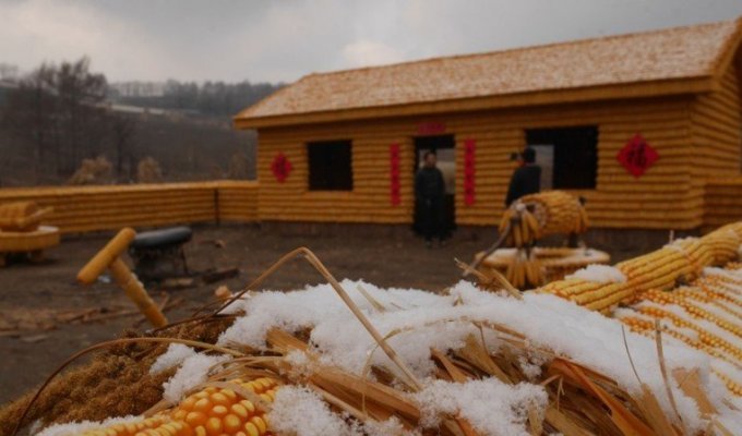 Китайский крестьянин строит ферму из кукурузы (10 фото + 1 видео)