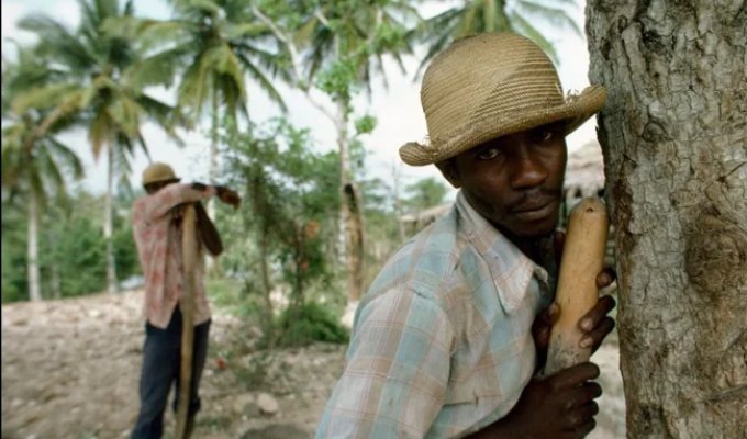 Photos of Haiti in the 1960s–1980s (20 photos)