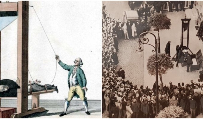 Humane guillotine (6 photos)