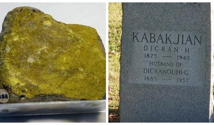 Уютная ловушка: как дом учёного превратился в вечный памятник эпохи радиевой лихорадки (5 фото)