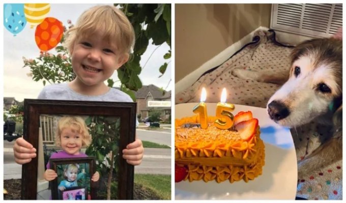 22 photos that are off the charts in cuteness (23 photos)
