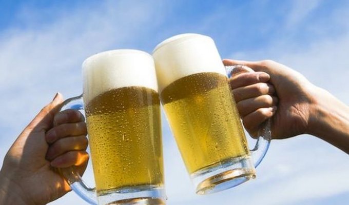 10 мифов и фактов о пиве от «Пивного сомелье» (текст)
