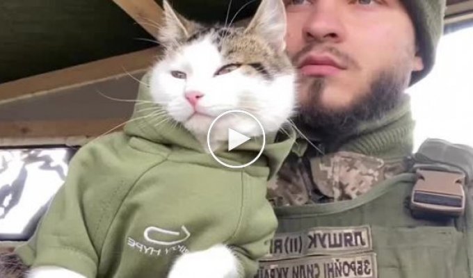 Soldier of the Armed Forces of Ukraine with a cat