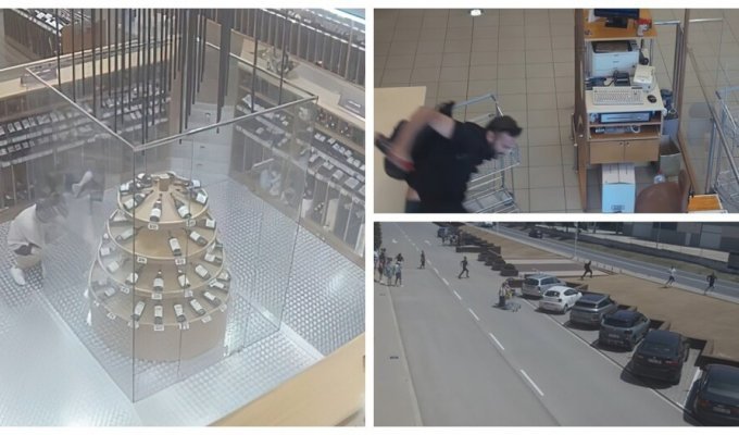 Luxury wine store robbed in Spain in broad daylight (6 photos + 1 video)
