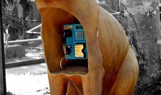  Необычные телефонные будки (5 Фото)