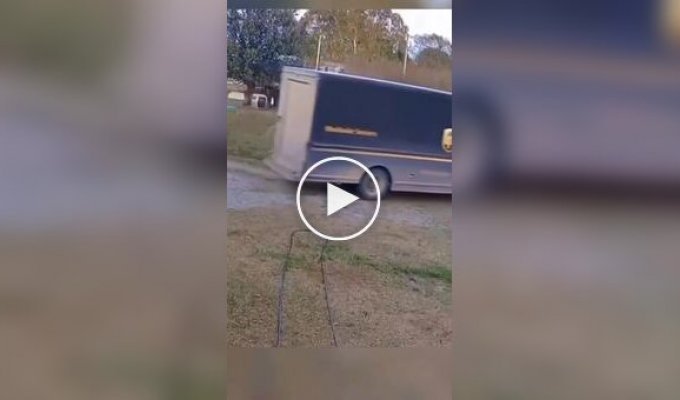 Актеры без «Оскара»: на видео сняли коз, «падающих в обморок» от испуга