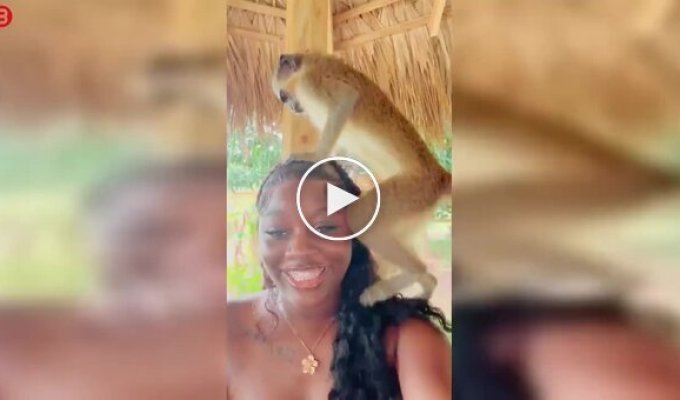 Фото с обезьяной обернулось неожиданностью