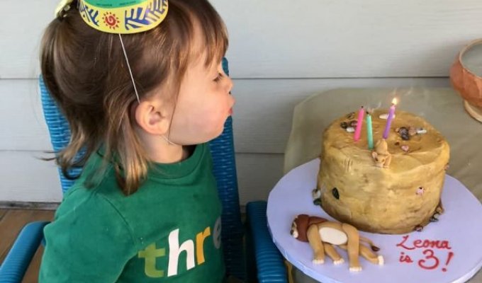 "Маленький гений": в США 3-летняя девочка попросила на свой день рождения торт с самой печальной сценой из "Короля Льва" (4 фото)