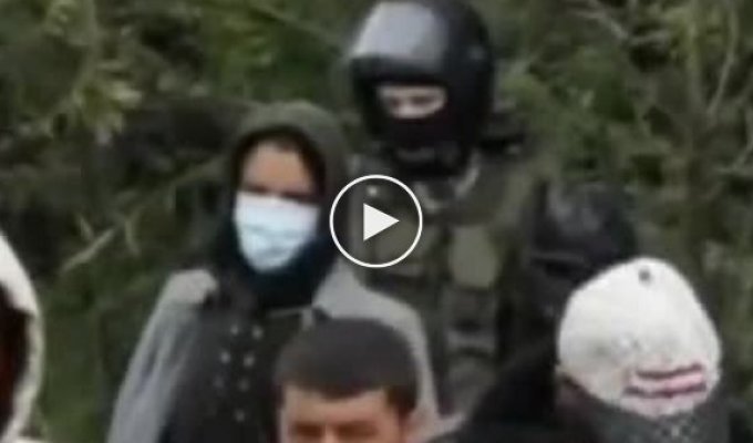 Пропаганда и реальность: Короткое видео о белорусской границе