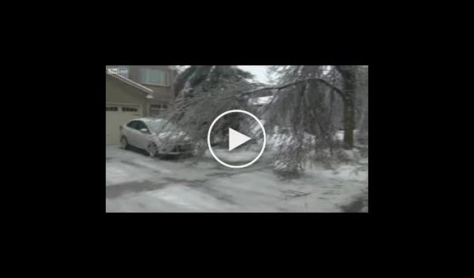 Последствия ледяного дождя в Канаде