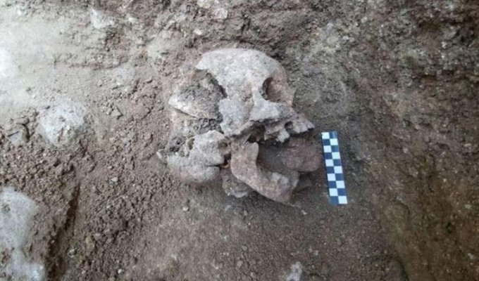 В Италии археологами был найден скелет ребёнка-«вампира» с камнем во рту (4 фото)