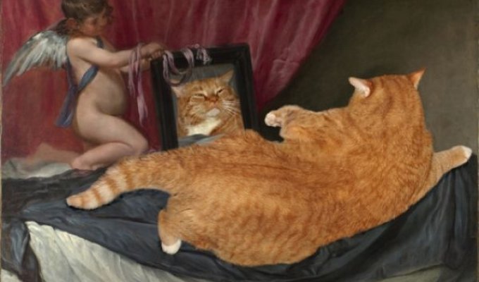 Светкин кот на холстах классиков (15 фото)