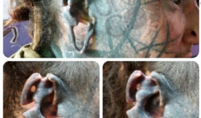 Вырезание на ушах - экстремальный тренд среди модификаторов тела (5 фото)