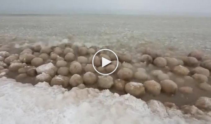 Массовое утопление снеговиков в озере Мичигана