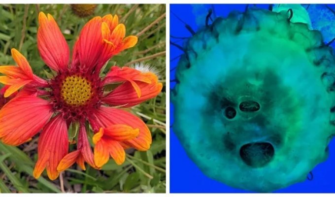 25 Fascinating Things Life Throws Our Way When We Pay a Little Closer Attention (26 Photos)