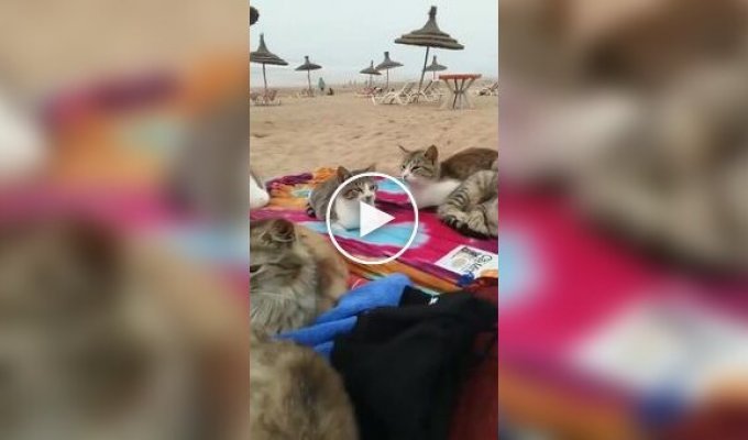 Relaxing on a Turkish beach with new friends