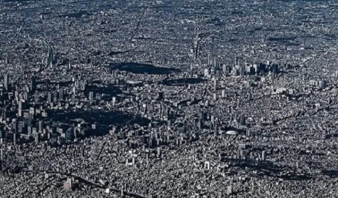 Вид на Токио с высоты птичьего полета (6 фото)