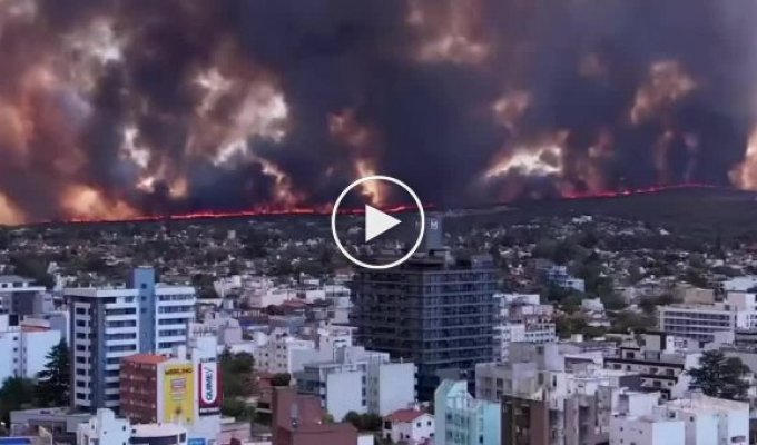 Forest fires break out in Argentina because of a coffee lover