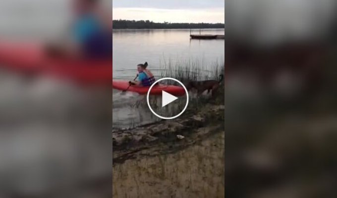 “Sit with me”: the dog didn’t let his owner go kayaking