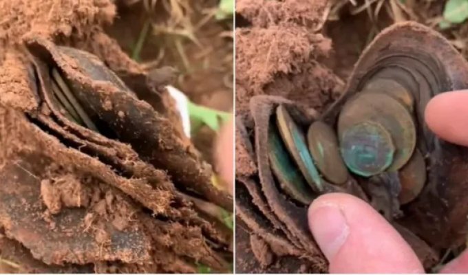 "Невероятная удача": мужчина нашел в земле мешочек с редкими сокровищами (2 фото + 1 видео)