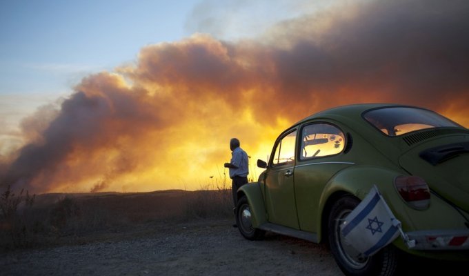 Пожар на севере Израиля (17 фото)
