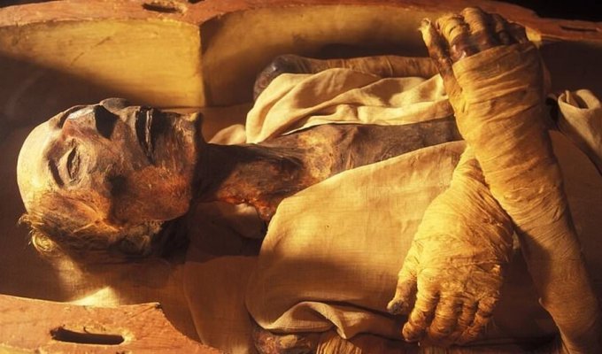 Учёные показали, как выглядел величайший фараон Египта незадолго до смерти (8 фото)