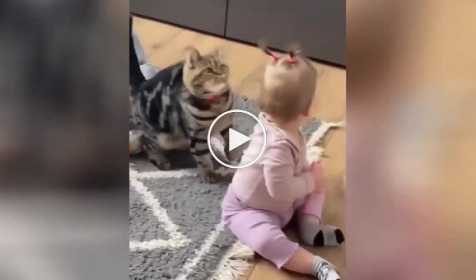 “What strange ears”: a touching game between a cat and a little girl