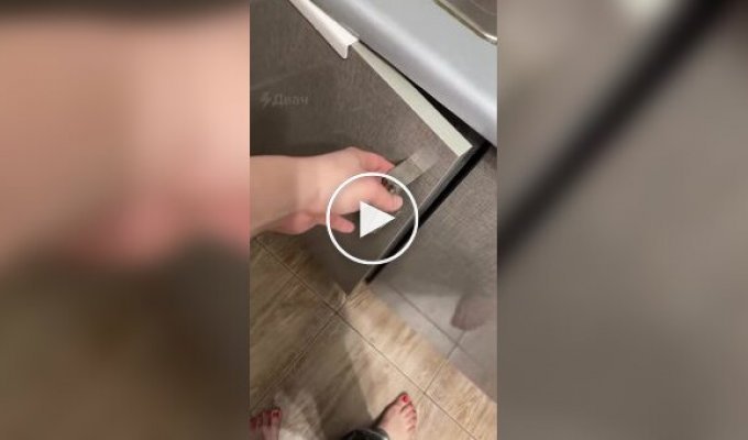 Котята спят на ведре с мусором