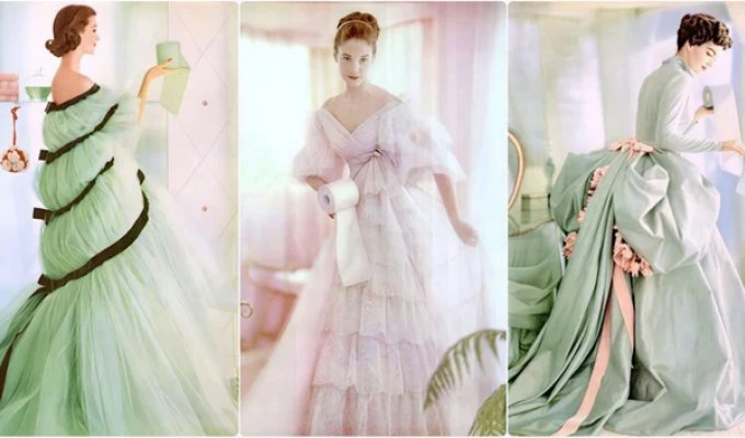 You’ll never guess what these ladies in evening gowns are advertising (17 photos)