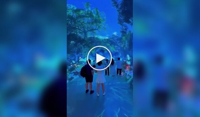 Другое измерение: на видео сняли центр цифрового искусства Space and Time Cube & Time Cube, Видео, Люди, Малайзия, в мире, круто, центр цифрового искусства