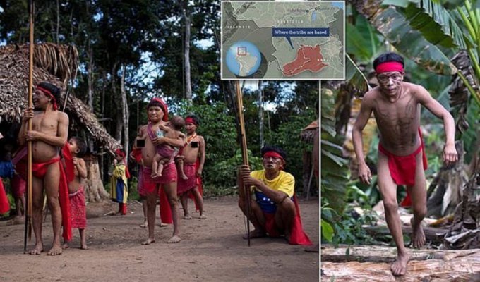 Коронавирус пришел в дикие племена Амазонки (4 фото)