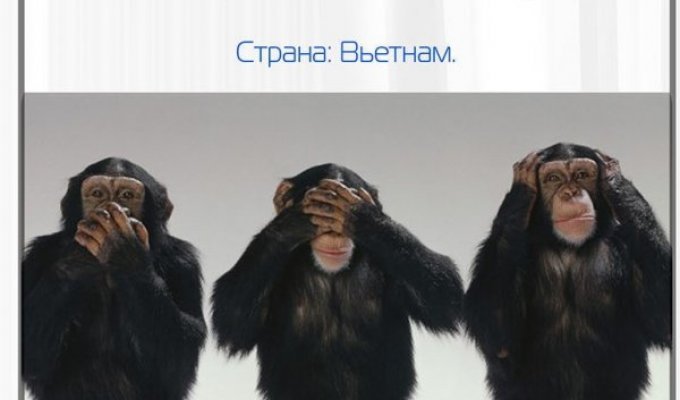 Слова на русском языке, похожие на ругательства в других странах (10 фото)