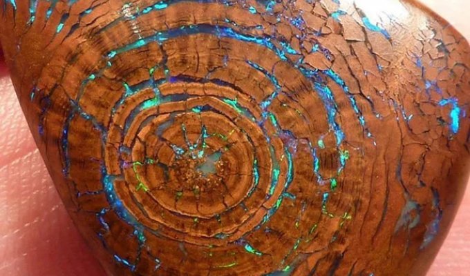 The Most Amazing Minerals (29 photos)